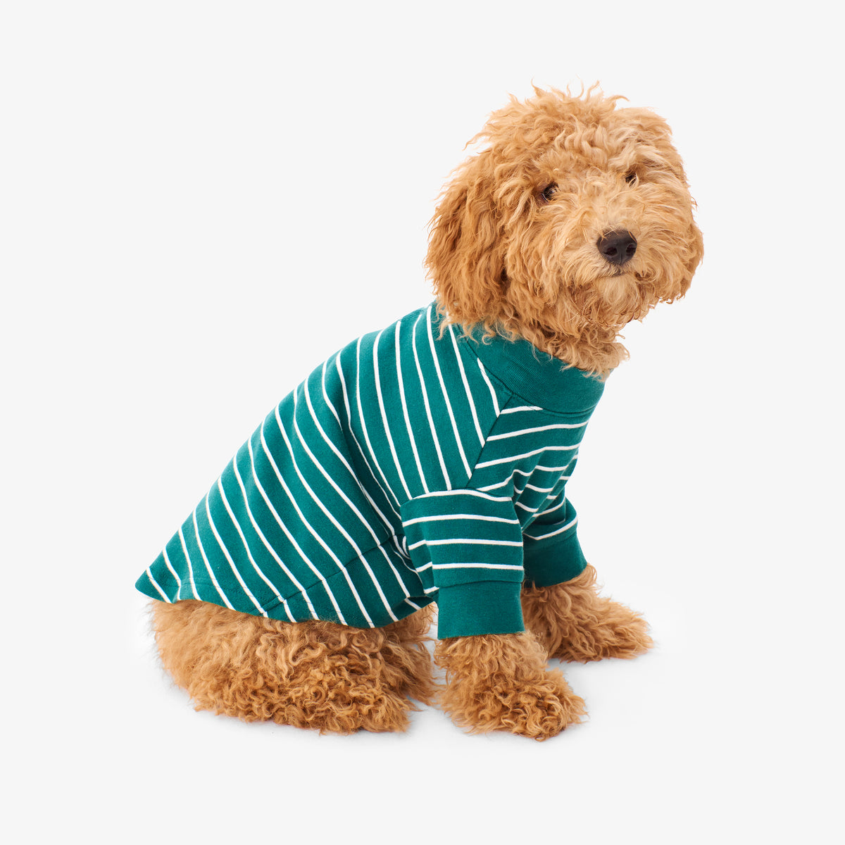 Pet