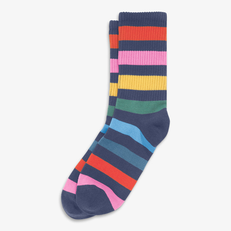 Adult navy rainbow stripe athletic socks