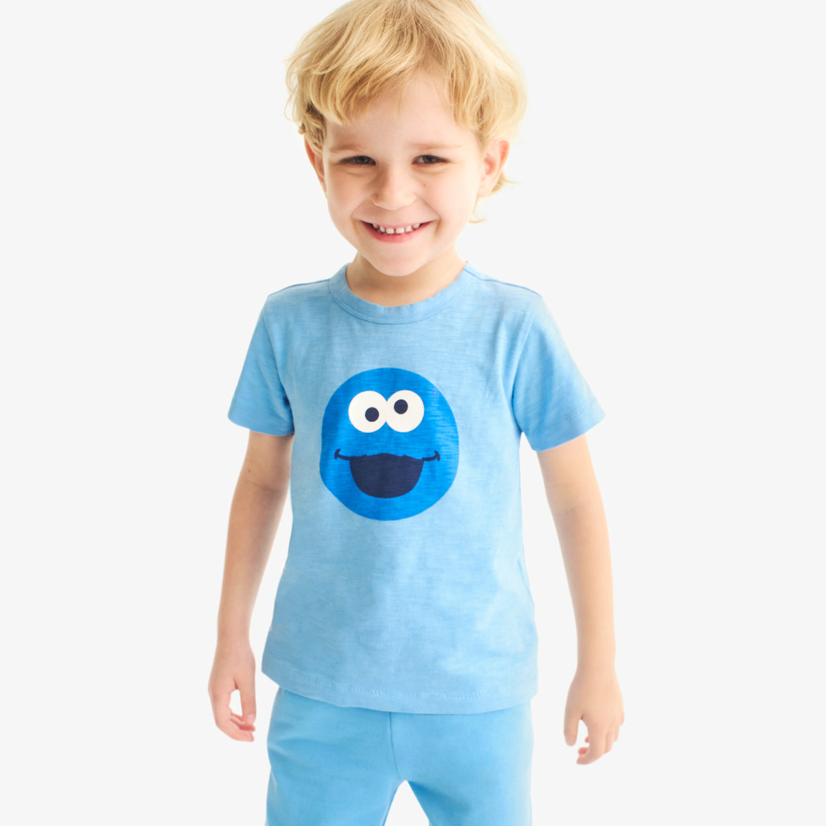 Cookie Monster