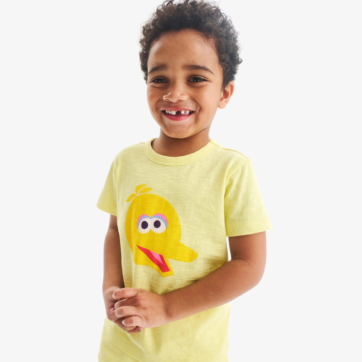 Big Bird